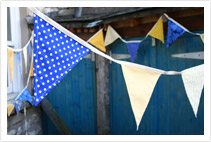 Blue and Yellow Bunting